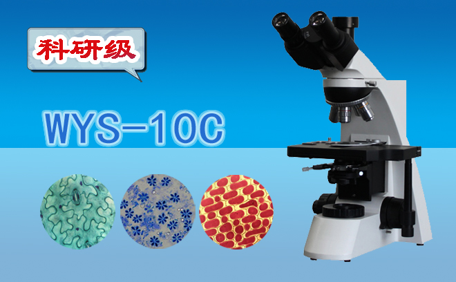1661312549623433.jpg 生物顯微鏡.jpg